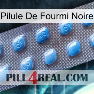 Black Ant Pill viagra3
